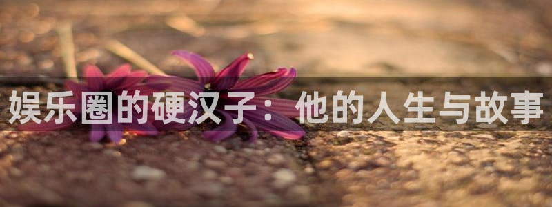 狗子28游戏官网入口注册