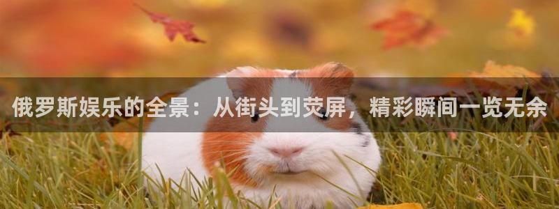狗子28棋牌软件特色：俄罗斯娱乐的全景：从街头到荧屏，精彩瞬间一览无余