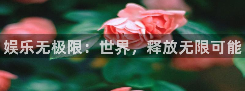 狗子28pg电子游戏：娱乐无极限：世界，释放无限可能