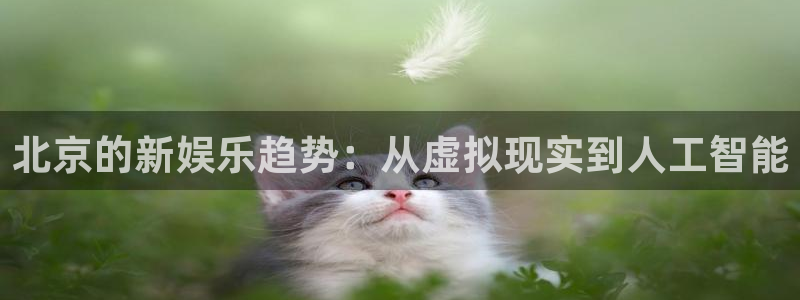 狗子28游戏：北京的新娱乐趋势：从虚拟现实到人工智能