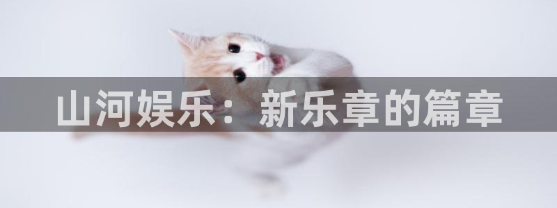 狗子28游戏：山河娱乐：新乐章的篇章