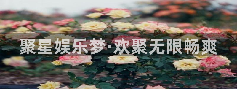 狗子28棋牌软件特色：聚星娱乐梦·欢聚无限畅爽