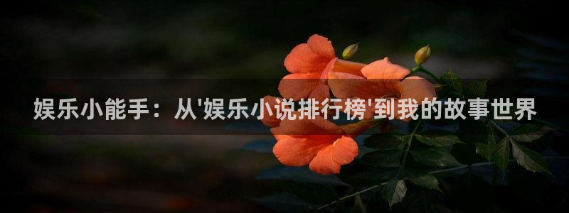 狗子28.ccmpc29：娱乐小能手：从\'娱乐小说排行榜\'到我的故事世界