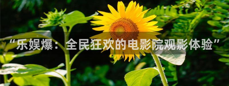 狗子28.ccm官网：“乐娱爆：全民狂欢的电影院观影体验”