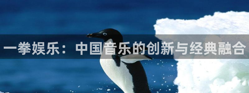 狗子28平台：一拳娱乐：中国音乐的创新与经典融合