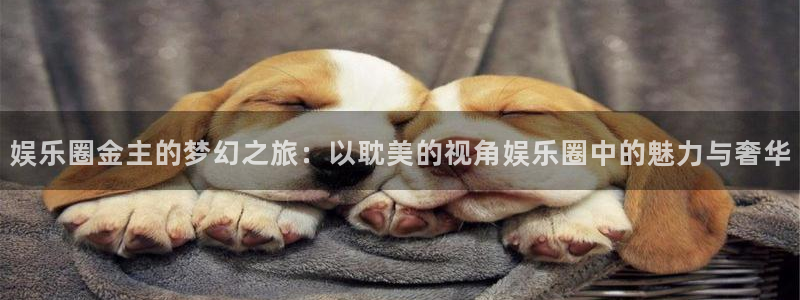 狗子28：娱乐圈金主的梦幻之旅：以耽美的视角娱乐圈中的魅力与奢华