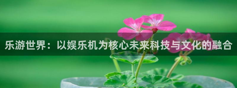 狗子28pg电子游戏：乐游世界：以娱乐机为核心未来科技与文化的融合