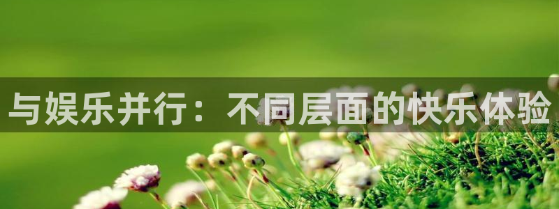 狗子28棋牌软件特色：与娱乐并行：不同层面的快乐体验