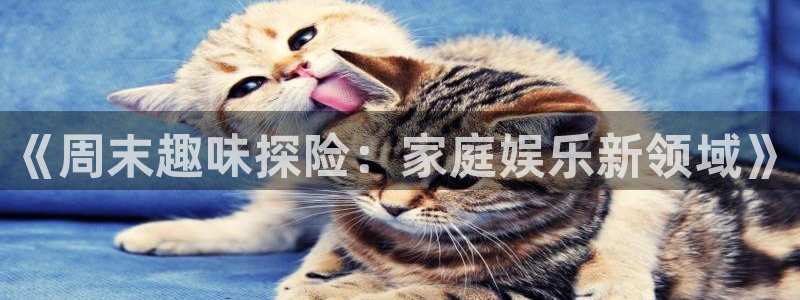 狗子28平台：《周末趣味探险：家庭娱乐新领域》